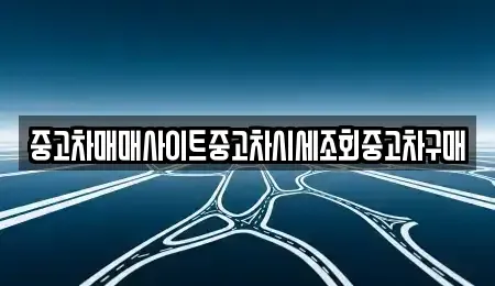 서울 종로구 종로4가 중고차매매 전문 중고차매매사이트중고차시세조회중고차구매