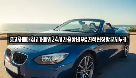 서울 종로구 종로4가 중고차매입 전문 중고차매매최고가매입24시간출장비무료견적현장방문지누카