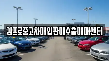서울특별시 구로구 개봉동 중고차 전문 김프로중고차매입판매수출매매센터