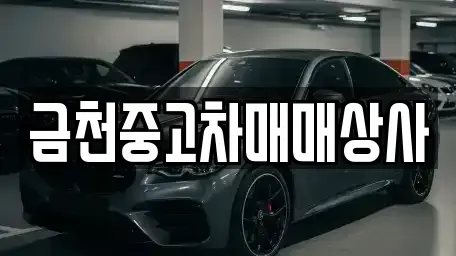 서울특별시 금천구 중고차 전문 금천중고차매매상사