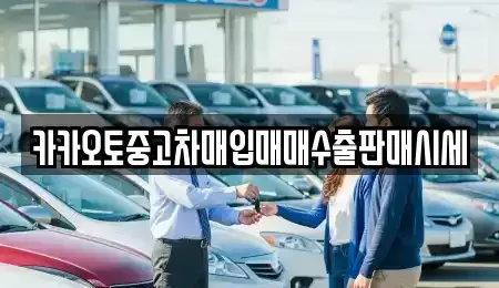 서울특별시 금천구 중고차매입 전문 카카오토중고차매입매매수출판매시세