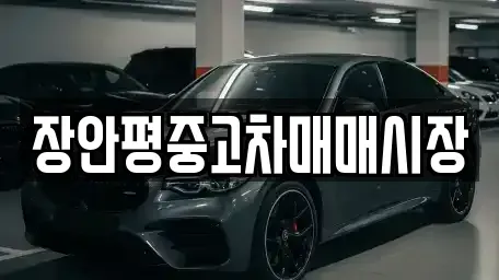 서울특별시 동대문구 청량리동 중고차 전문 장안평중고차매매시장