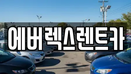 서울특별시 성동구 마장동 렌트카 전문 에버렉스렌트카
