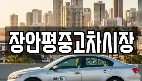 서울특별시 성동구 마장동 중고차매매 전문 장안평중고차시장
