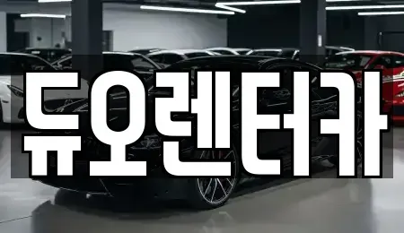 서울특별시 성북구 성북동 렌트카 전문 듀오렌터카