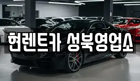서울특별시 성북구 성북동 렌트카 전문 현렌트카 성북영업소
