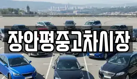 서울특별시 성북구 성북동 중고차 전문 장안평중고차시장