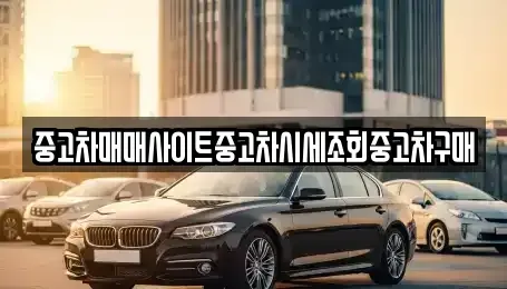 서울특별시 성북구 성북동 중고차,렌트카,중고차매입,중고차매매,장기렌트카,단기렌트카