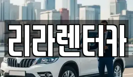 서울특별시 송파구 송파동 렌트카 전문 리라렌터카
