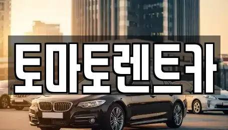 서울특별시 송파구 송파동 렌트카 전문 토마토렌트카