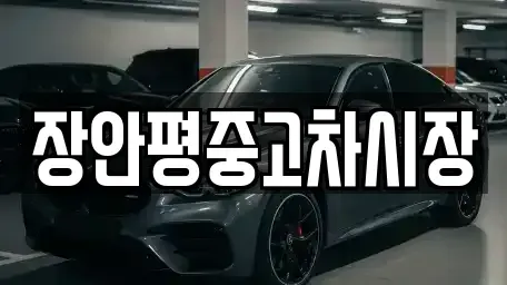 서울특별시 송파구 송파동 중고차 전문 장안평중고차시장