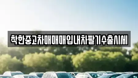 서울특별시 송파구 송파동 중고차 전문 착한중고차매매매입내차팔기수출시세
