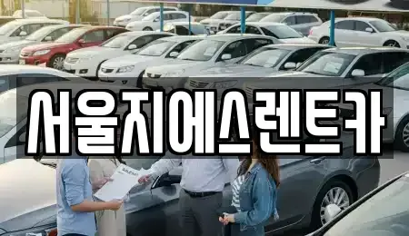 서울특별시 양천구 신정동 렌트카 전문 서울지에스렌트카