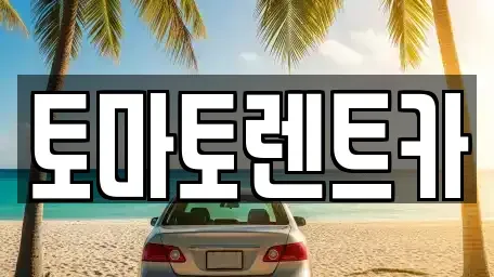 서울특별시 양천구 신정동 렌트카 전문 토마토렌트카