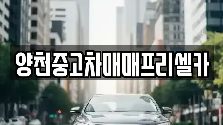 서울특별시 양천구 신정동 중고차매매 전문 양천중고차매매프리셀카