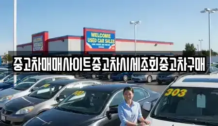 서울특별시 양천구 신정동 중고차매매 전문 중고차매매사이트중고차시세조회중고차구매