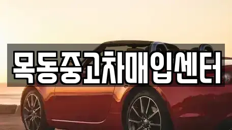 서울특별시 양천구 신정동 중고차매입 전문 목동중고차매입센터