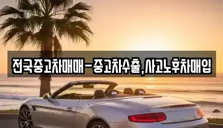 서울특별시 양천구 신정동 중고차매입 전문 전국중고차매매-중고차수출,사고노후차매입