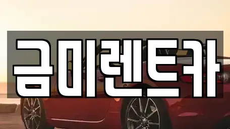 서울특별시 영등포구 당산동2가 렌트카 전문 금미렌트카