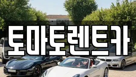 서울특별시 영등포구 당산동2가 렌트카 전문 토마토렌트카