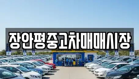 서울특별시 영등포구 당산동2가 중고차매매 전문 장안평중고차매매시장