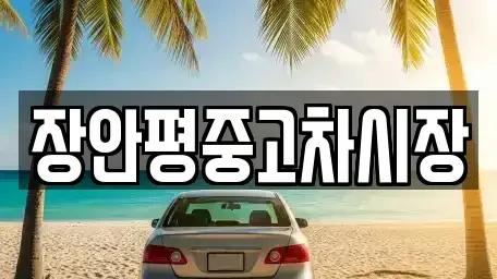 서울특별시 영등포구 당산동2가 중고차매매 전문 장안평중고차시장