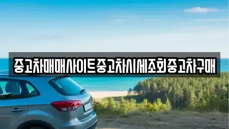 서울특별시 영등포구 당산동2가 중고차매매 전문 중고차매매사이트중고차시세조회중고차구매
