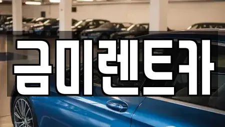 서울특별시 영등포구 당산동4가 렌트카 전문 금미렌트카