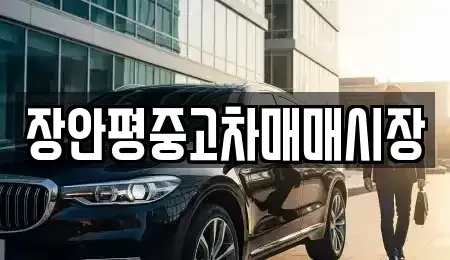 서울특별시 영등포구 당산동4가 중고차 전문 장안평중고차매매시장