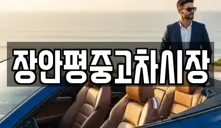서울특별시 영등포구 당산동4가 중고차 전문 장안평중고차시장