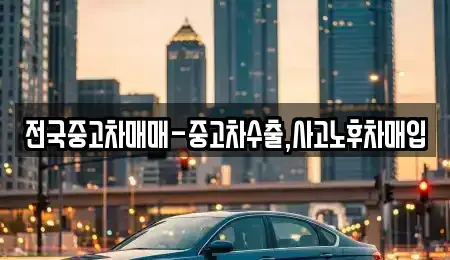 서울특별시 영등포구 당산동4가 중고차 전문 전국중고차매매-중고차수출,사고노후차매입