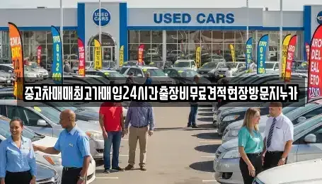 서울특별시 영등포구 당산동4가 중고차매매 전문 중고차매매최고가매입24시간출장비무료견적현장방문지누카