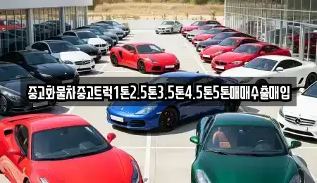 서울특별시 영등포구 양화동 중고차매입 전문 중고화물차중고트럭1톤2.5톤3.5톤4.5톤5톤매매수출매입