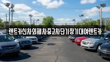 서울특별시 용산구 동빙고동 단기렌트카 전문 렌트카신차외제차중고차단기장기대여렌트카