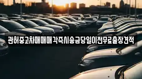 서울특별시 용산구 동빙고동 중고차매매 전문 관허중고차매매매각즉시송금당일이전무료출장견적