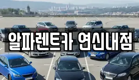 서울특별시 은평구 녹번동 렌트카 전문 알파렌트카 연신내점