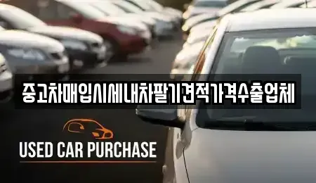 서울특별시 은평구 녹번동 중고차매입 전문 중고차매입시세내차팔기견적가격수출업체