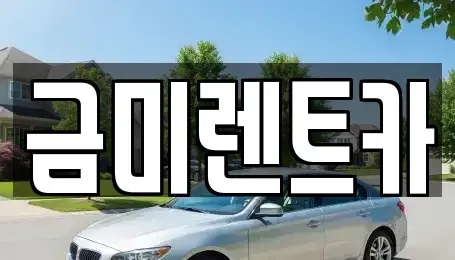 서울특별시 종로구 관철동 렌트카 전문 금미렌트카