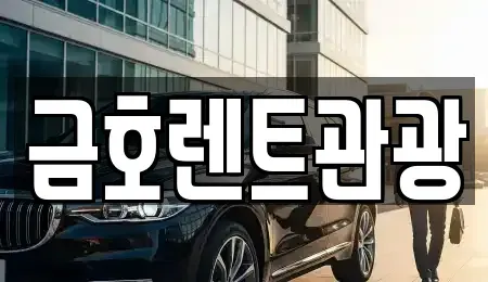 서울특별시 종로구 관철동 렌트카 전문 금호렌트관광