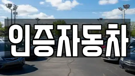 서울특별시 종로구 관철동 중고차 전문 인증자동차