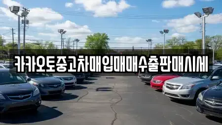 서울특별시 종로구 신문로1가 중고차 전문 카카오토중고차매입매매수출판매시세