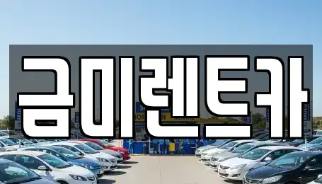 서울특별시 종로구 신문로2가 렌트카 전문 금미렌트카