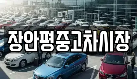 서울특별시 종로구 신문로2가 중고차 전문 장안평중고차시장