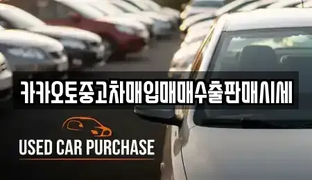 서울특별시 종로구 신문로2가 중고차 전문 카카오토중고차매입매매수출판매시세