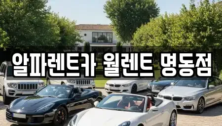서울특별시 종로구 예지동 렌트카 전문 알파렌트카 월렌트 명동점
