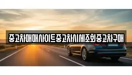 서울특별시 종로구 예지동 중고차매매 전문 중고차매매사이트중고차시세조회중고차구매