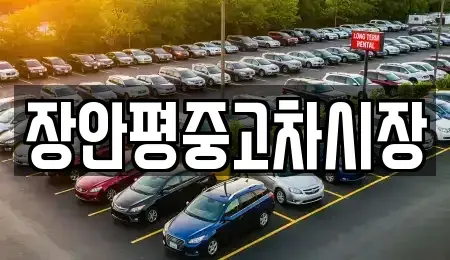 서울특별시 종로구 종로4가 중고차매매 전문 장안평중고차시장