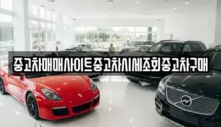 서울특별시 종로구 종로4가 중고차매매 전문 중고차매매사이트중고차시세조회중고차구매