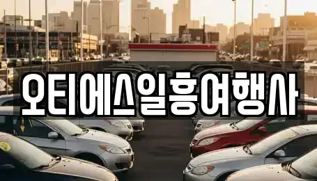 서울특별시 중구 무교동 렌트카 전문 오티에스일흥여행사