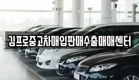 서울특별시 중구 무교동 중고차매입 전문 김프로중고차매입판매수출매매센터